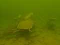 P5040018